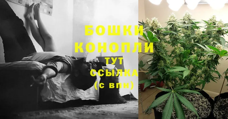 где купить наркоту  Шелехов  Марихуана Bruce Banner 